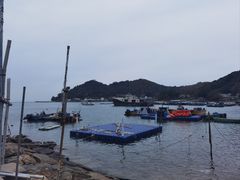 -大澳