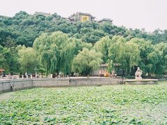 -北山公园