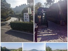 -树山生态村