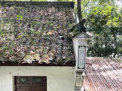 -严子陵钓台(富春江小三峡)