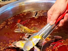 -青山青豆花·笑禅豆腐鱼(黄泥塝店)