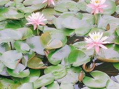 -宁波九龙湖开元度假村