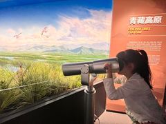 -四川大学博物馆