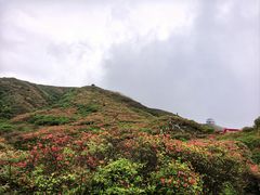-大围山国家森林公园