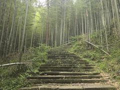 -午潮山国家森林公园