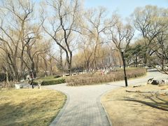 -玲珑塔公园
