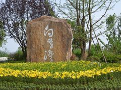 -白鹭湾湿地公园