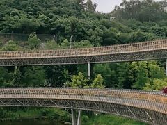 -福道