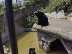 -云南野生动物园