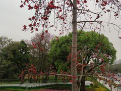 -云溪植物园