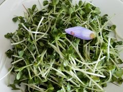 -玲珑阁昆山菜(锦溪店)