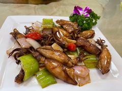 美极鱿鱼圈-瑞记湛江鸡饭店·粤西第一鸡(粤垦店)