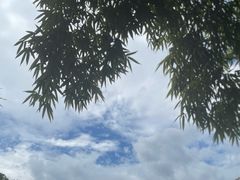 -星城之眼摩天轮