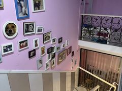 -哆趣宠物医院·眼科·内镜·急重症转诊中心(上海店)