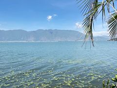 -大理洱海