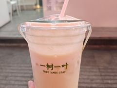 -一树一叶·福建茶档(石鼓路店)