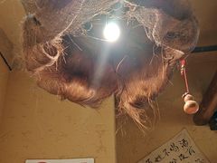 -泥糊破店小酒馆·团建聚餐(南京西路店)