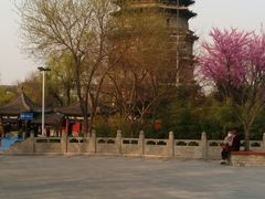 -天宁寺