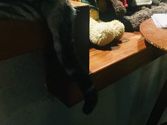 景观位-咖法森林·咖啡  酒吧(天河店)