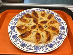 -石老头关东饺子王·东北菜(嘉华鑫城店)