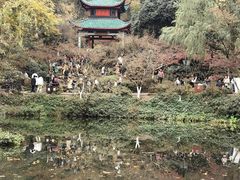 -岳麓山风景名胜区