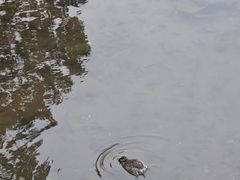 -海珠湖公园