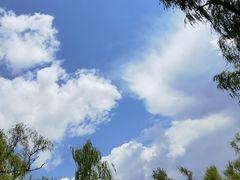 -长春市南湖公园