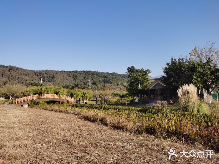 西昌邛海湿地-月亮湾景区图片