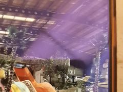 -南宫温泉水世界