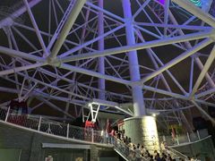 -锦江乐园舞狸花花游园会(夜场专享)