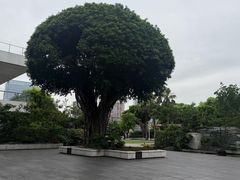 -广州白天鹅宾馆