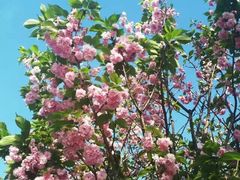 -成都中医药大学(温江校区)