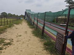 -泗洪洪泽湖湿地景区