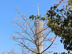 -海心沙亚运公园