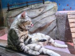 -顺德南宏海立方海洋公园