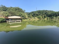 -桃园美食(水库路店)