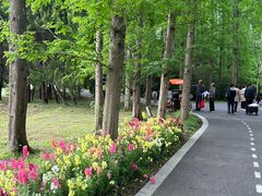 -东平国家森林公园