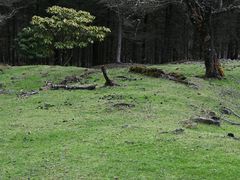 -硗碛藏寨·神木垒景区