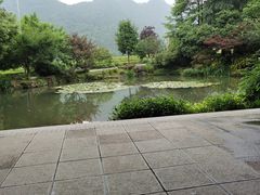 -中国茶叶博物馆(双峰馆区)