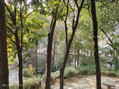 -青羊宫