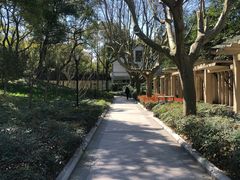 -徐家汇源景区-衡山公园