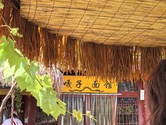 -白洋淀景区