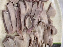 -麻奢鸽农庄·梦里水乡