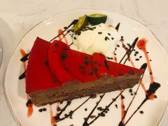 -飞行喵MR PILOT|猫舍·猫咖(静安大融城店)