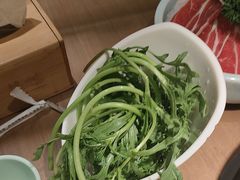 -掂档潮汕牛肉火锅(沈阳万象城店)