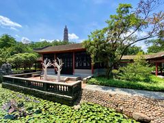 -顺峰山公园