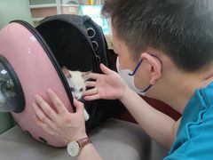 -艾贝尔宠物诊疗