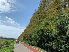 -上海长兴岛郊野公园