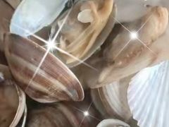 -四海蒸鲜蒸汽海鲜自助(北戴河店)