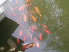 -陈云纪念馆